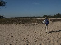 NL, Noord-Brabant, Heusden, Loonse en Drunense Duinen 76, Saxifraga-Jan van der Straaten